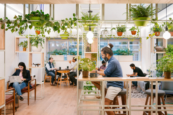 Wework Virtual Office